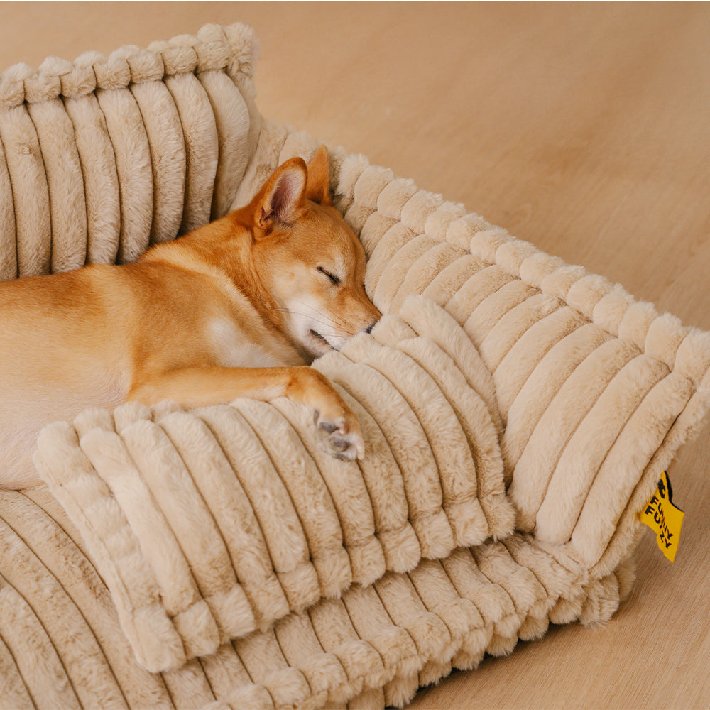 Where your pet’s rest comes first – PawSure Comfort™