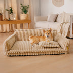 Where your pet’s rest comes first – PawSure Comfort™