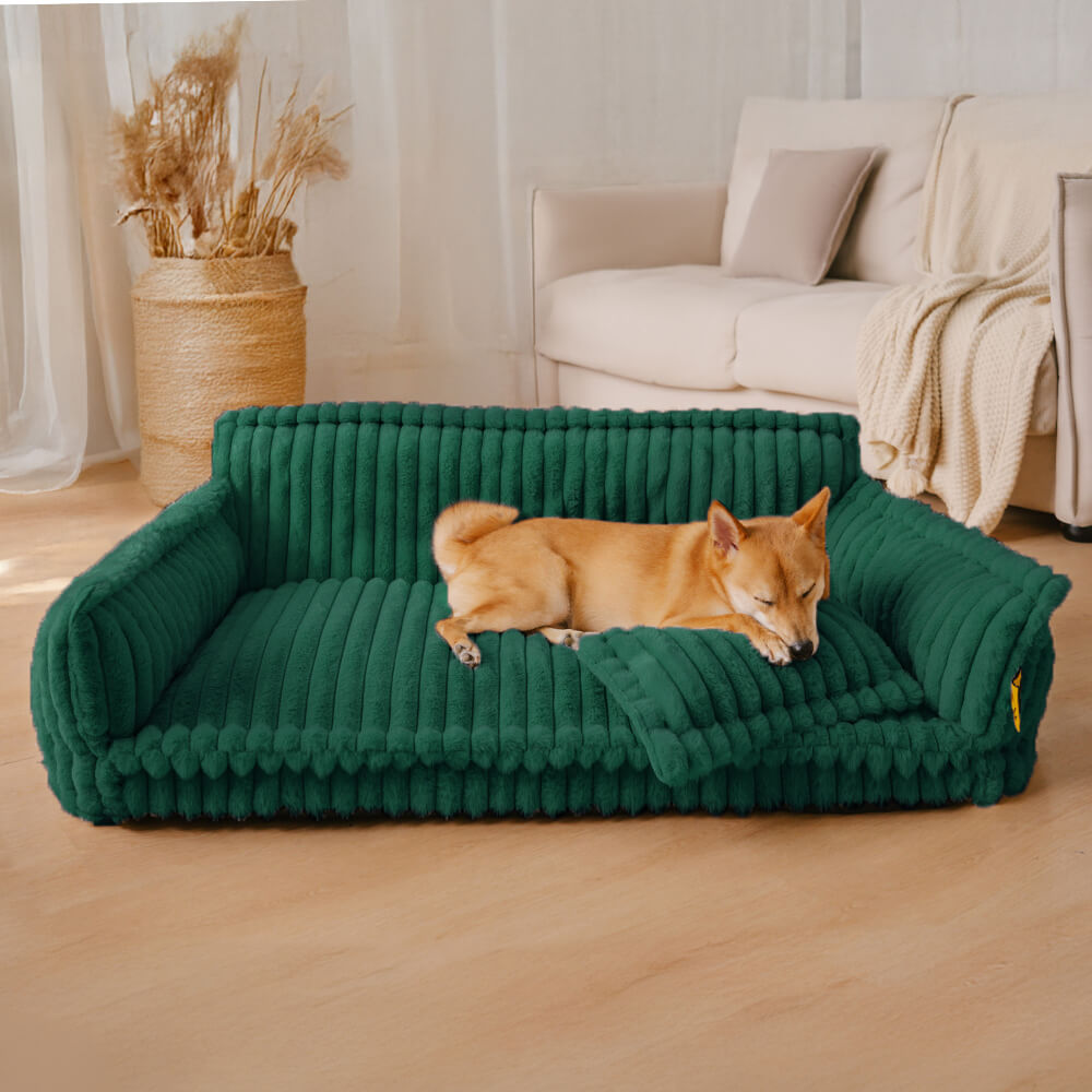 Where your pet’s rest comes first – PawSure Comfort™