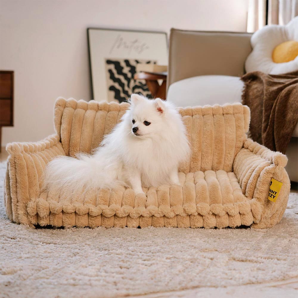 Where your pet’s rest comes first – PawSure Comfort™